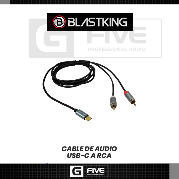 Cable de audio USB-C a RCA - Imagen 2